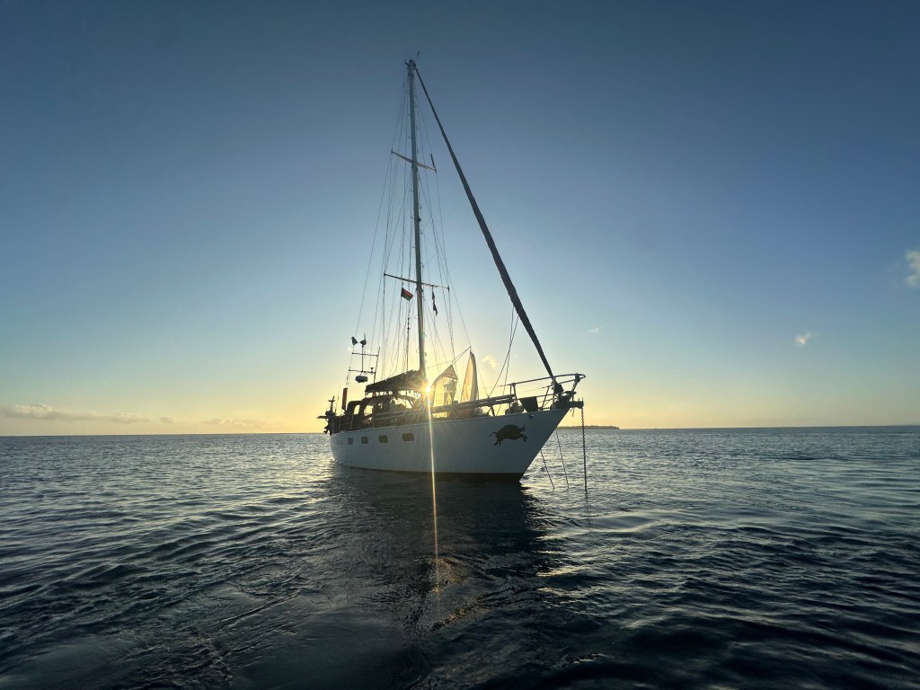 Beauty Point to Preservation&nbsp;Island